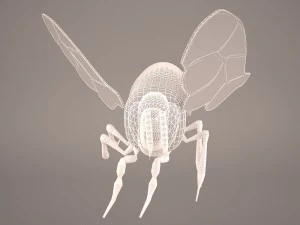 Cartoon bee 3D Model