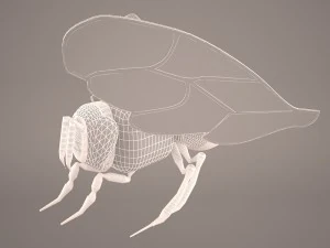 Cartoon bee 3D Model