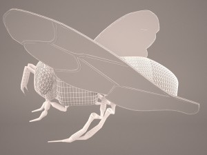 Cartoon bee 3D Модель