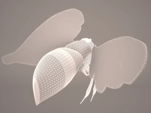 Cartoon bee 3D Model