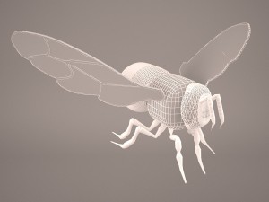 Cartoon bee 3D Модель