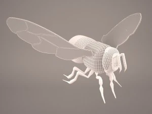 Cartoon bee 3D Model