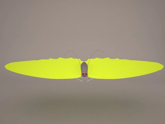 kupu-kupu Model 3D .c4d .max .obj .3ds .fbx .stl .blend 