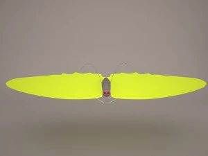 Butterfly Modello 3D