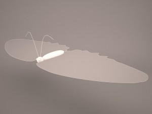 Butterfly 3D Модель