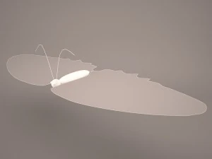 kupu-kupu Model 3D