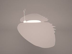 Butterfly 3D Модель