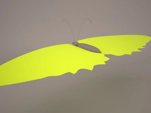 kupu-kupu Model 3D