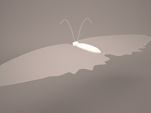 Butterfly 3D Модель