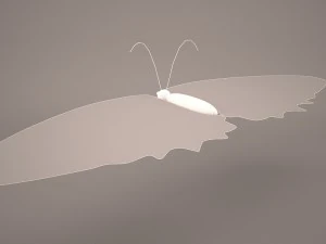 kupu-kupu Model 3D
