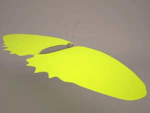 kupu-kupu Model 3D