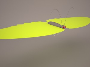 Butterfly 3D Модель
