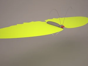 kupu-kupu Model 3D