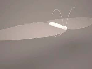 kupu-kupu Model 3D
