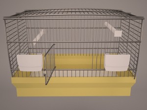 Birdcage 3D Model