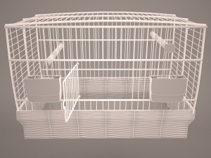 Birdcage Modèle 3D