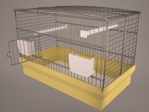Birdcage Modèle 3D