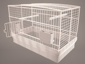 Birdcage Modèle 3D