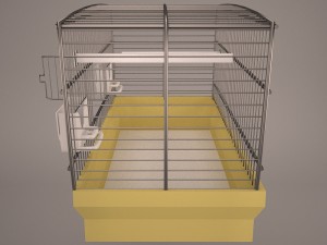 Birdcage Modèle 3D