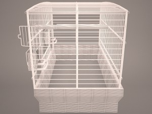 Birdcage Modèle 3D