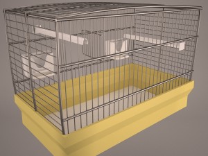 Birdcage Modèle 3D