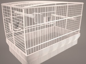 Birdcage Modèle 3D