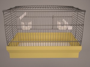 Birdcage Modèle 3D