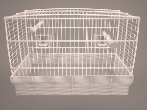 Birdcage Modèle 3D