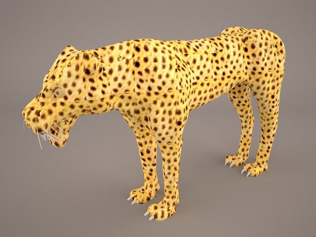 Cheetah 3D Model .c4d .max .obj .3ds .fbx .stl .blend 