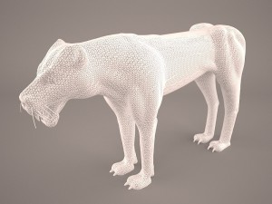 Cheetah 3D Model