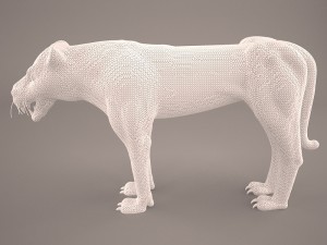 Cheetah 3D Model