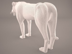 Cheetah 3D Model