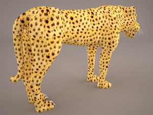 Cheetah 3D Model