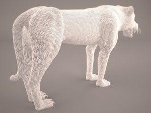 Cheetah 3D Model