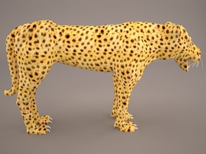 Cheetah 3D Model
