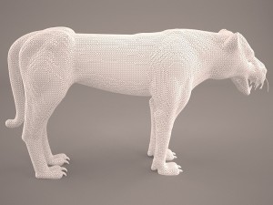 Cheetah 3D Model
