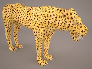 Cheetah 3D Model