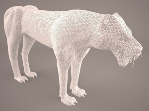 Cheetah 3D Model