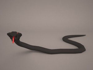 Cobra 3D Model