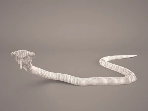 Cobra 3D Model