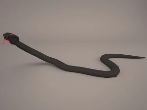 Cobra 3D Model