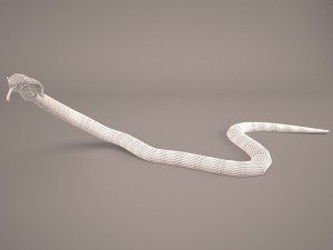 Cobra 3D-Modell