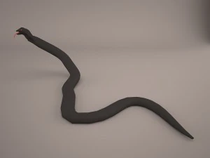 Cobra 3D Model