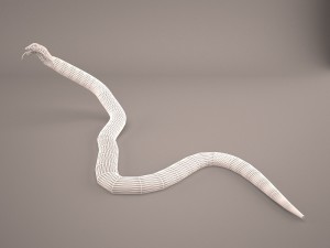 Cobra 3D-Modell
