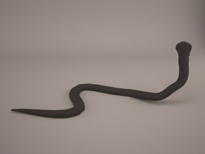 Cobra 3D-Modell