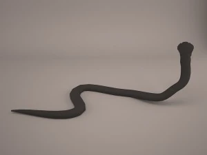 Cobra 3D Model