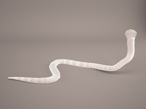 Cobra 3D-Modell
