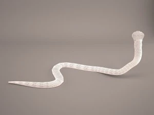 Cobra 3D Model
