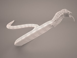 Cobra 3D-Modell