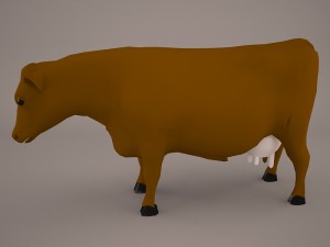 Cow animal 3D 모델